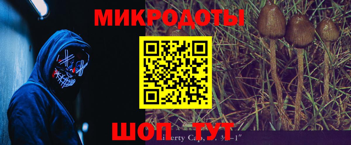 Галлюциногенные грибы мицелий Сыктывкар